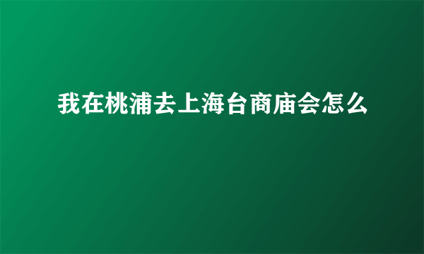 我在桃浦去上海台商庙会怎么