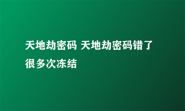 天地劫密码 天地劫密码错了很多次冻结