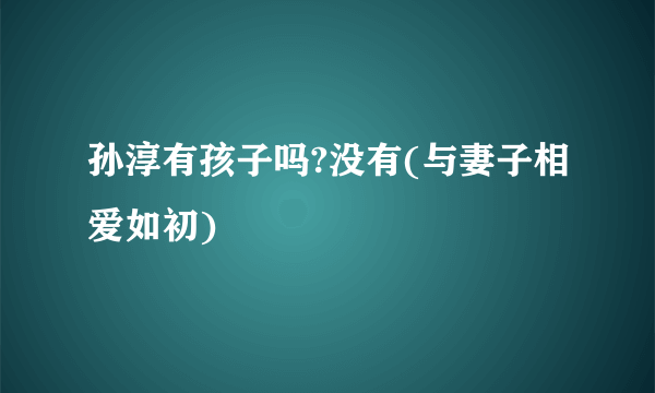 孙淳有孩子吗?没有(与妻子相爱如初)