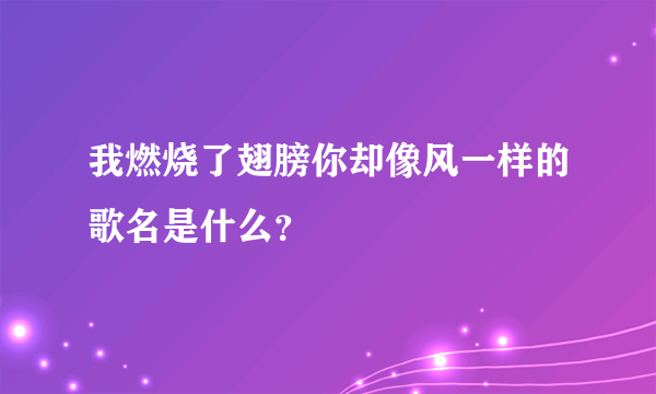 我燃烧了翅膀你却像风一样的歌名是什么？