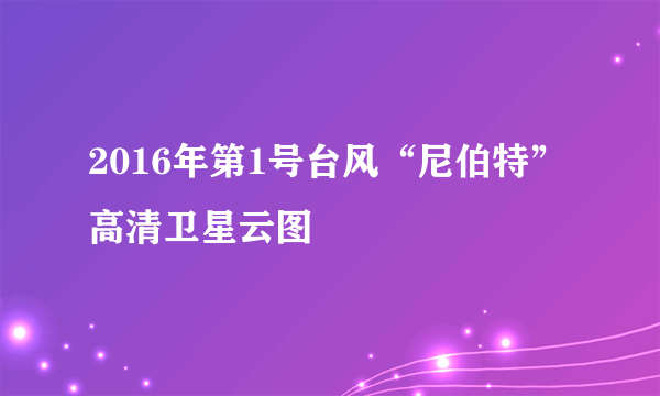 2016年第1号台风“尼伯特”高清卫星云图