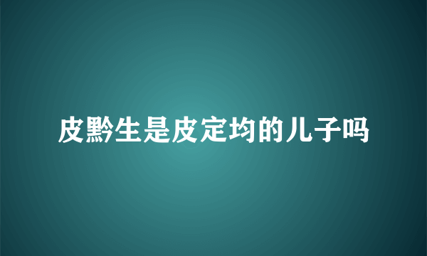 皮黔生是皮定均的儿子吗