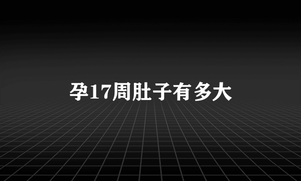 孕17周肚子有多大