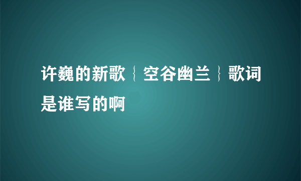 许巍的新歌｛空谷幽兰｝歌词是谁写的啊