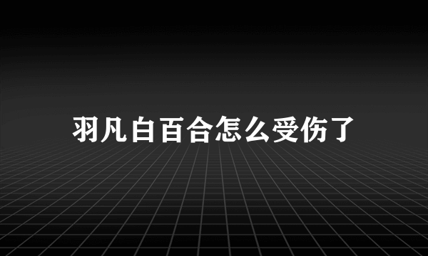 羽凡白百合怎么受伤了