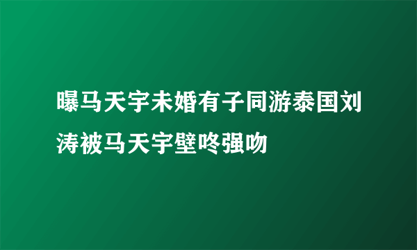 曝马天宇未婚有子同游泰国刘涛被马天宇壁咚强吻