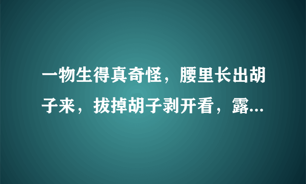 一物生得真奇怪，腰里长出胡子来，拔掉胡子剥开看，露出牙齿一排排（打一植物）