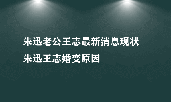 朱迅老公王志最新消息现状 朱迅王志婚变原因