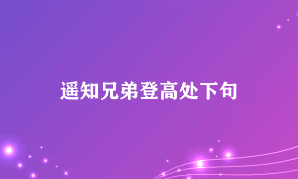 遥知兄弟登高处下句