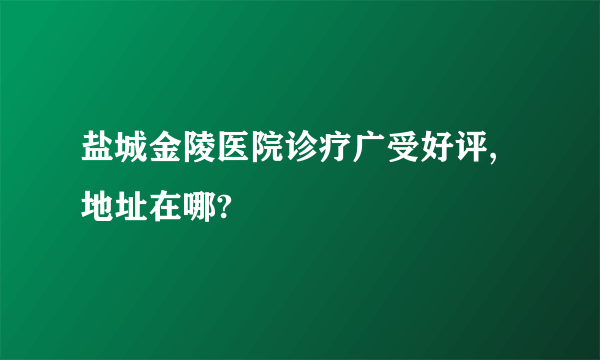 盐城金陵医院诊疗广受好评,地址在哪?