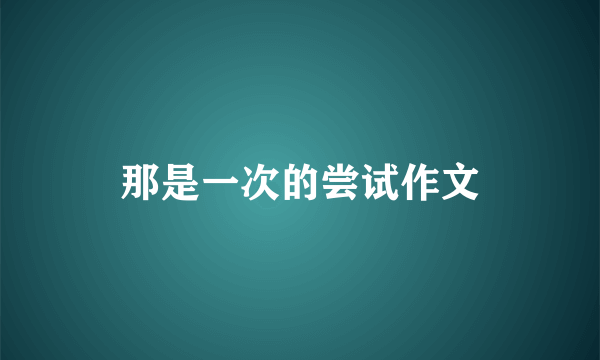 那是一次的尝试作文