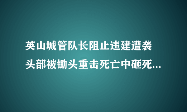 英山城管队长阻止违建遭袭 头部被锄头重击死亡中砸死人的村民犯了什么罪