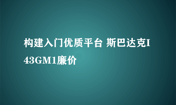 构建入门优质平台 斯巴达克I43GM1廉价