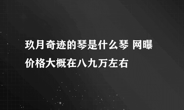 玖月奇迹的琴是什么琴 网曝价格大概在八九万左右