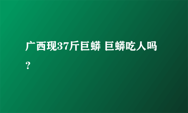 广西现37斤巨蟒 巨蟒吃人吗？