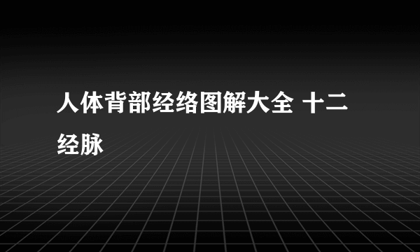 人体背部经络图解大全 十二经脉