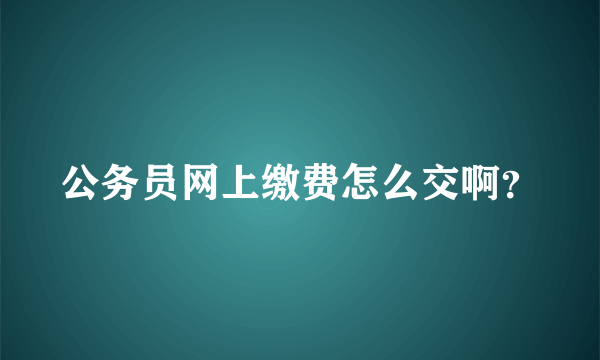 公务员网上缴费怎么交啊？