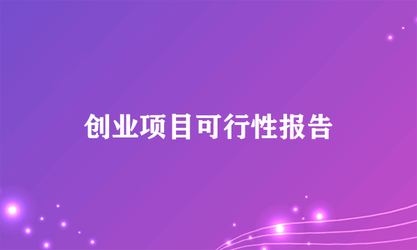 创业项目可行性报告