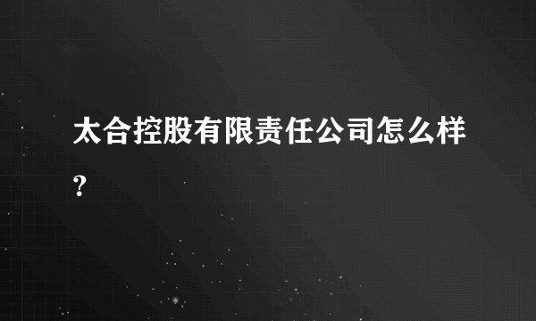 太合控股有限责任公司怎么样？