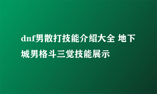 dnf男散打技能介绍大全 地下城男格斗三觉技能展示