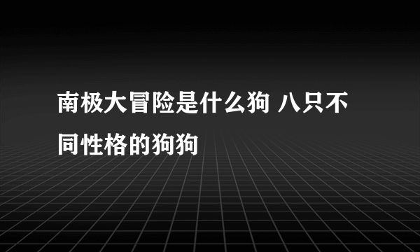 南极大冒险是什么狗 八只不同性格的狗狗