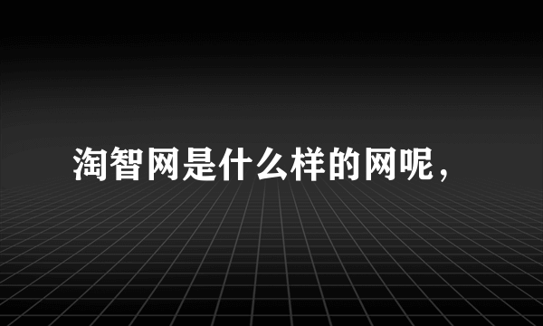 淘智网是什么样的网呢，