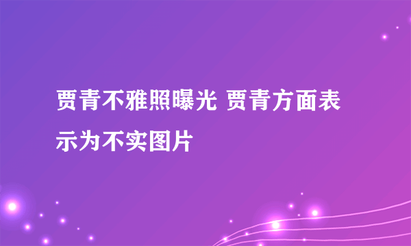 贾青不雅照曝光 贾青方面表示为不实图片