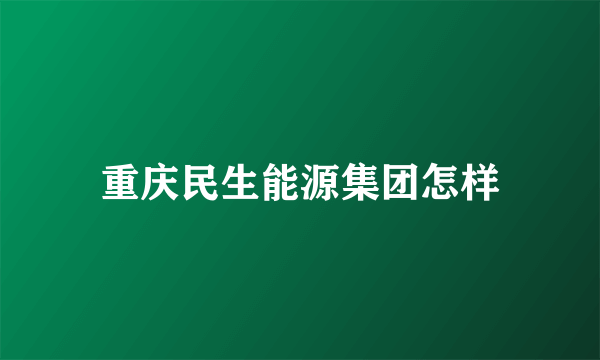 重庆民生能源集团怎样