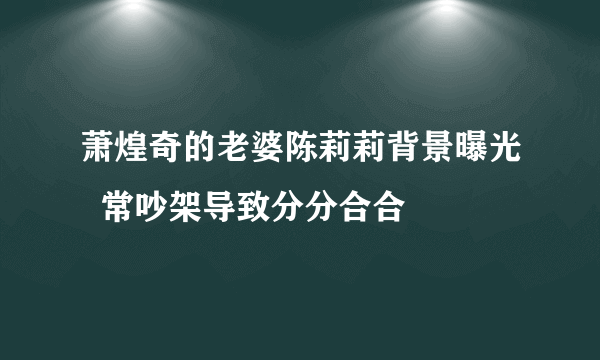 萧煌奇的老婆陈莉莉背景曝光  常吵架导致分分合合