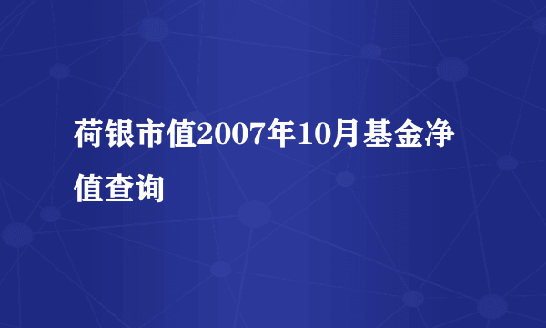 荷银市值2007年10月基金净值查询