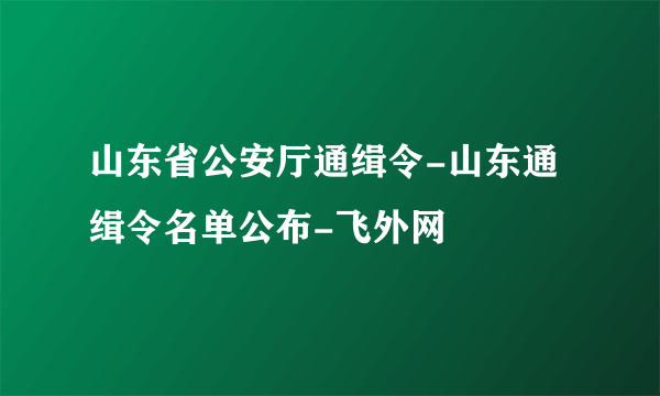 山东省公安厅通缉令-山东通缉令名单公布-飞外网