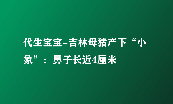 代生宝宝-吉林母猪产下“小象”：鼻子长近4厘米