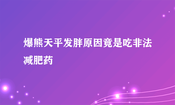 爆熊天平发胖原因竟是吃非法减肥药