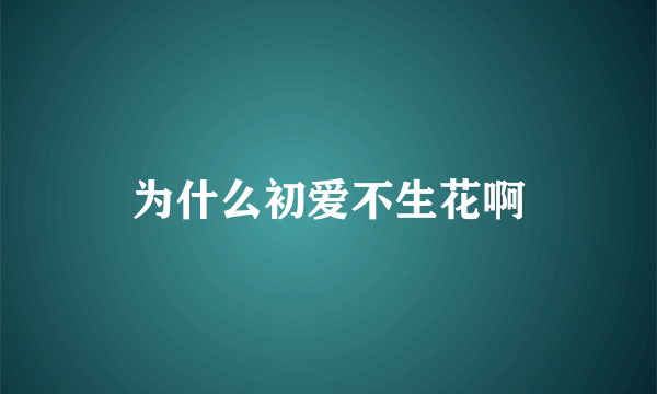 为什么初爱不生花啊