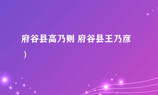 府谷县高乃则 府谷县王乃彦）