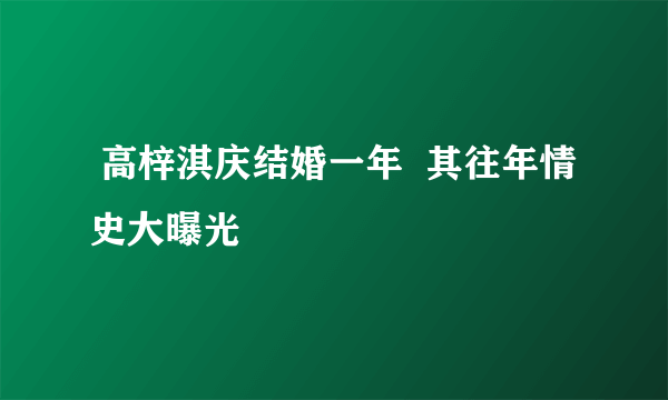  高梓淇庆结婚一年  其往年情史大曝光