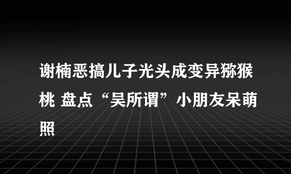 谢楠恶搞儿子光头成变异猕猴桃 盘点“吴所谓”小朋友呆萌照