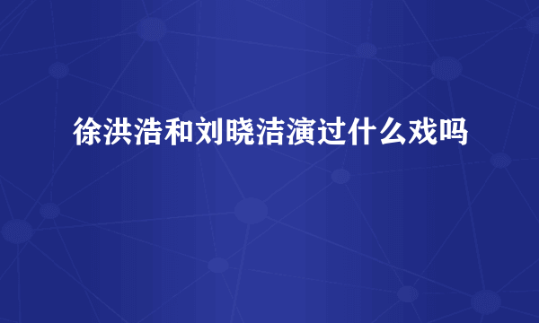 徐洪浩和刘晓洁演过什么戏吗