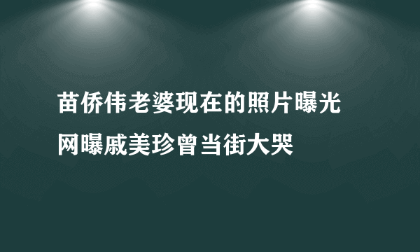 苗侨伟老婆现在的照片曝光 网曝戚美珍曾当街大哭