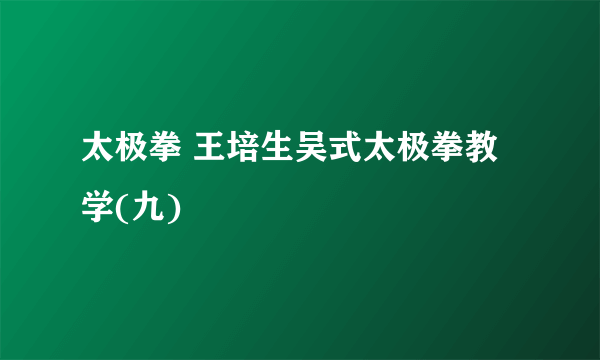 太极拳 王培生吴式太极拳教学(九)