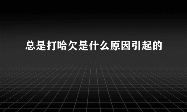 总是打哈欠是什么原因引起的