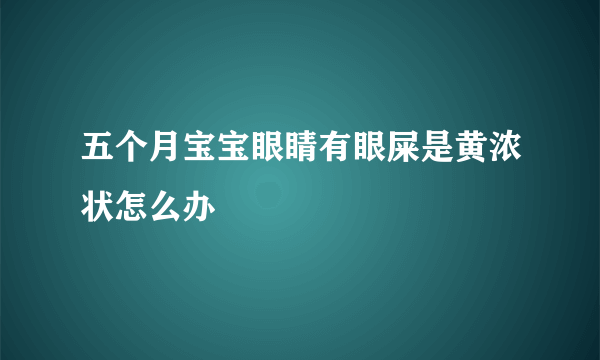 五个月宝宝眼睛有眼屎是黄浓状怎么办