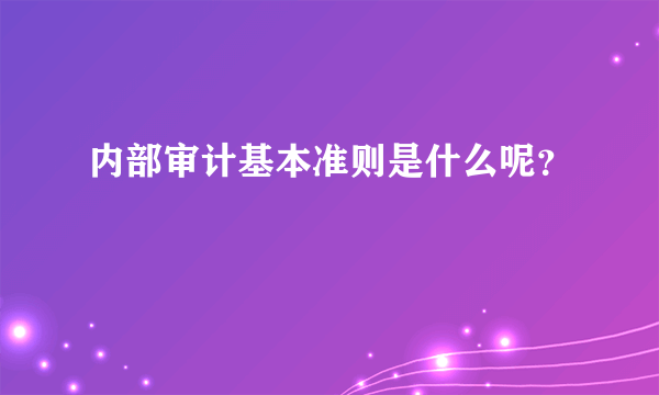 内部审计基本准则是什么呢？