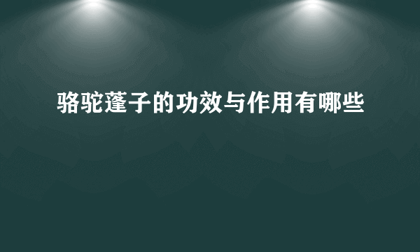 骆驼蓬子的功效与作用有哪些