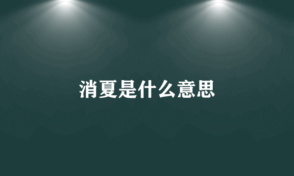 消夏是什么意思