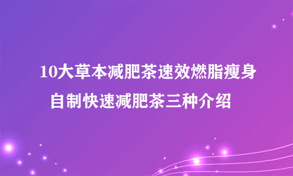 10大草本减肥茶速效燃脂瘦身  自制快速减肥茶三种介绍