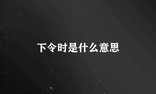 下令时是什么意思