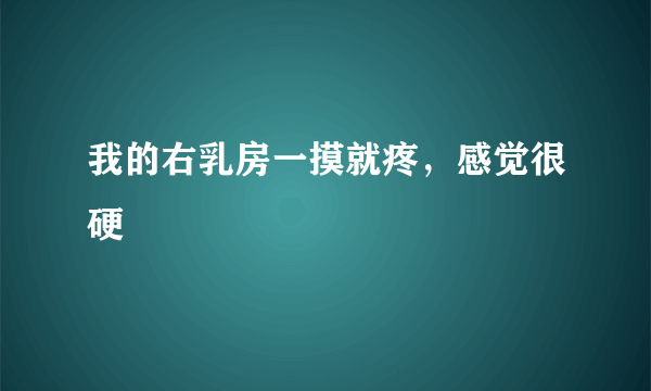 我的右乳房一摸就疼，感觉很硬