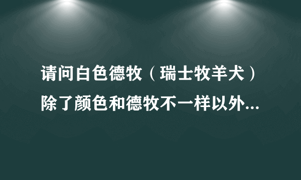 请问白色德牧（瑞士牧羊犬）除了颜色和德牧不一样以外，智商差不多啊？？？