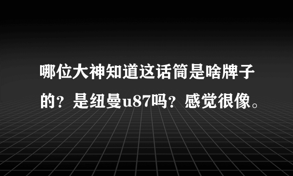 哪位大神知道这话筒是啥牌子的？是纽曼u87吗？感觉很像。